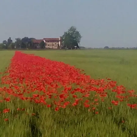 Ca' Tiziana - Venice - Jesolo *